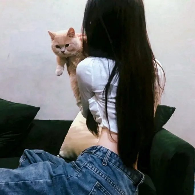 我的心里住着一只猫